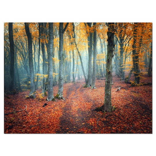 Designart - Red and Yellow Autumn Forest